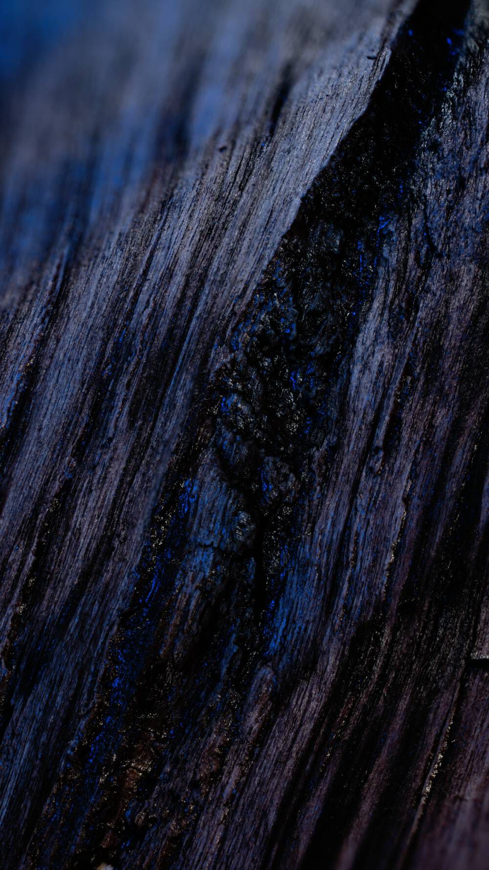 Abstract close-up of dark, textured wood with deep grooves and a blue tint.