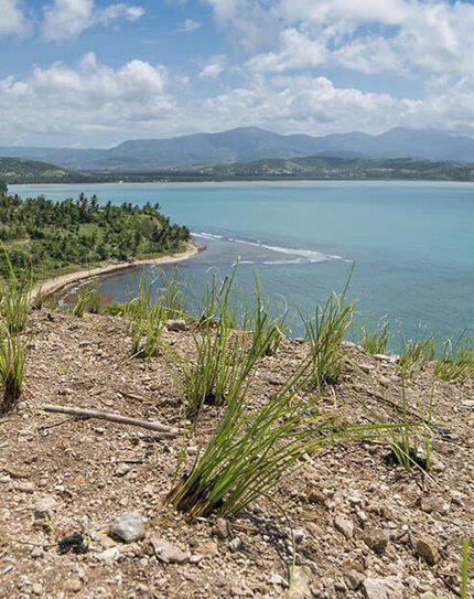 A vibrant landscape featuring green grass in the foreground, overlooking a turquoise coastal bay with mountains in the background under a partly cloudy sky.