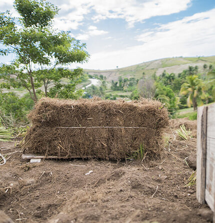 A bundle of straw or dried grass stacked on the ground, with a lush green landscape and blue sky in the background.