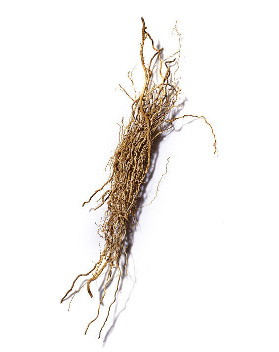 A bundle of thin, tangled roots with a light brown color, displayed against a white background.