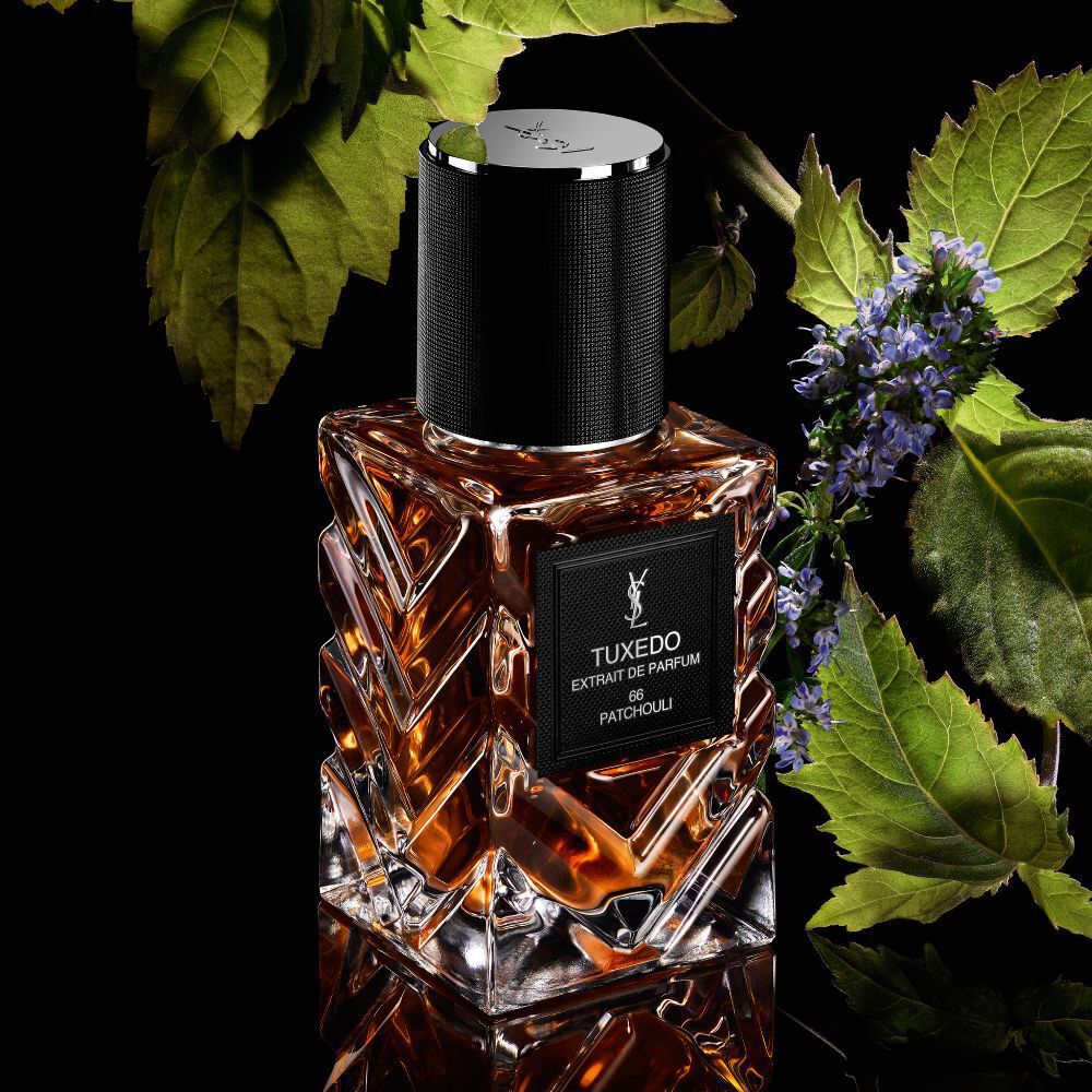 YSL LVDP Tuxedo Extrait de Parfum fles, omlijst door weelderige groene patchoulibladeren en tere paarse bloemen op zwart.