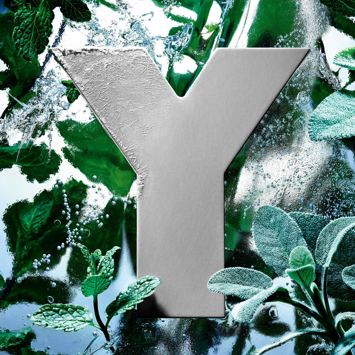 Het YSL 'Y'-logo, bedekt met een laagje ijs, omringd door verse munt- en salieblaadjes.