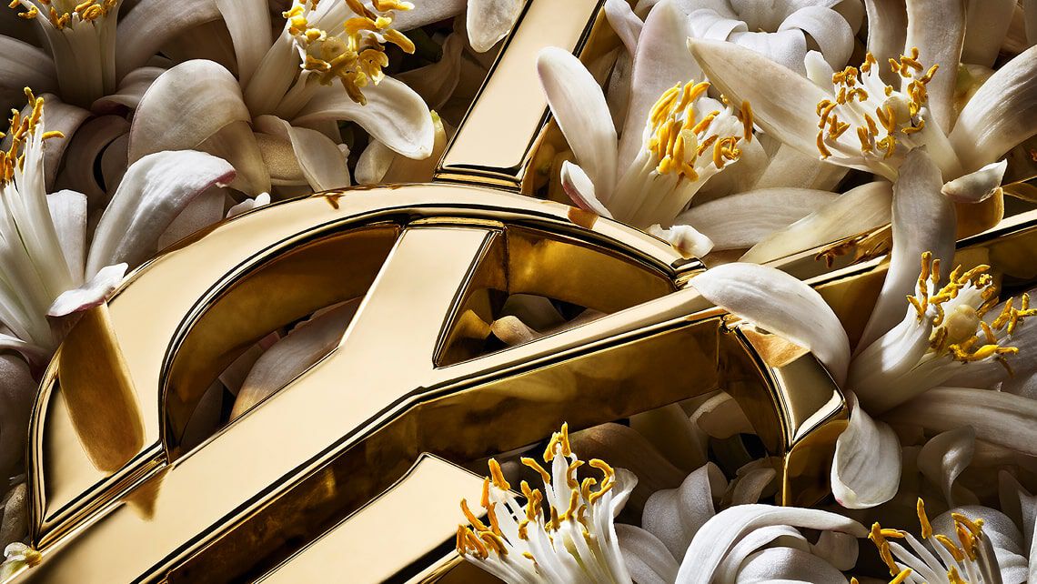 Sehr stilisierte Nahaufnahme des goldenen YSL-Logos über dunklen Vanilleschoten, die Texturen betonend.