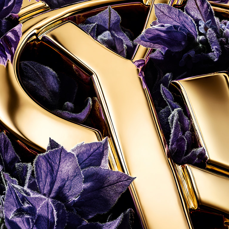 Close-up of the YSL Cassandre logo in polished gold surrounded by vibrant Diva lavender blossoms from France.