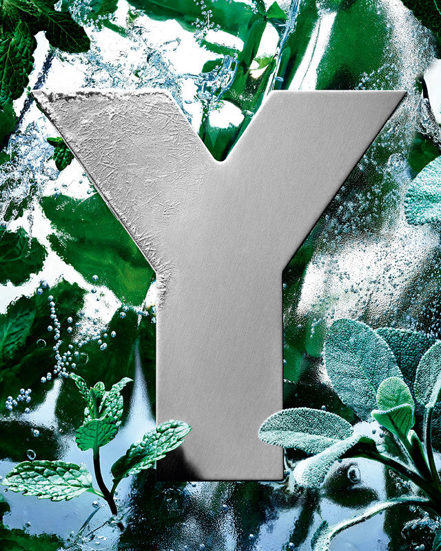 Het YSL 'Y'-logo, bedekt met een laagje ijs, omringd door verse munt- en salieblaadjes.