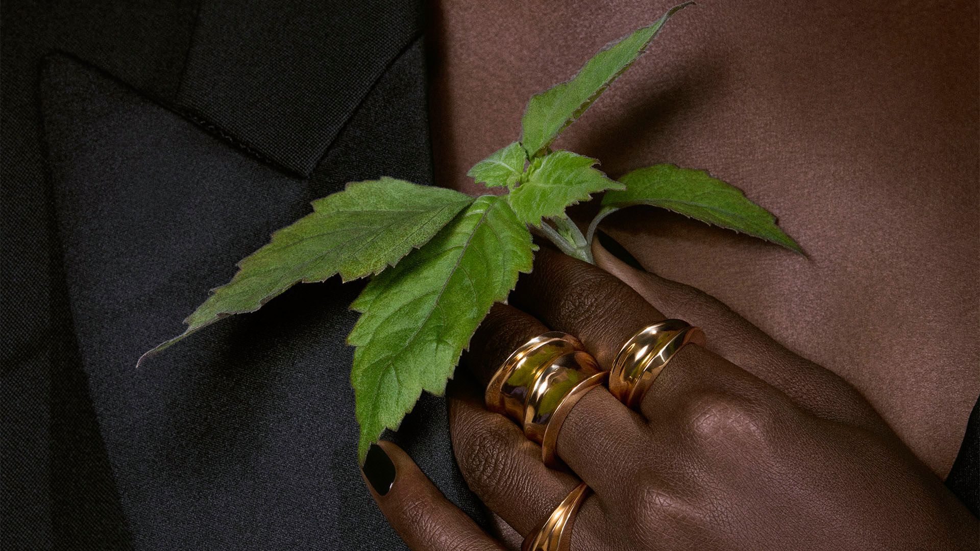 Een hand met opvallende gouden ringen en donkere nagels koestert een levendig groen takje, een weerspiegeling van de verfijnde elegantie van YSL's Tuxedo-geur.