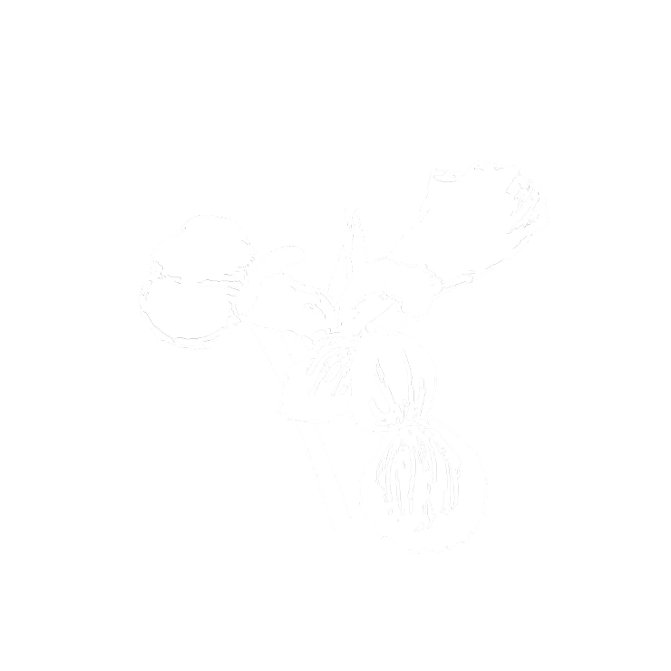 Elegant orrisboter-icoon voor CŒUR
Eau de Parfum van YSL, dat de
poederige hartnoten van de geur vertegenwoordigt.